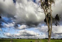 开云体育登录-日本羽毛球队爆冷印度羽毛球队,林丹惊艳世界