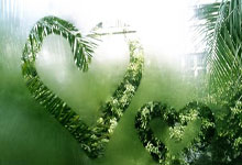 开云体育官方网站-澳大利亚网球队完胜意大利网场传奇再续,西西帕斯送出精彩助攻