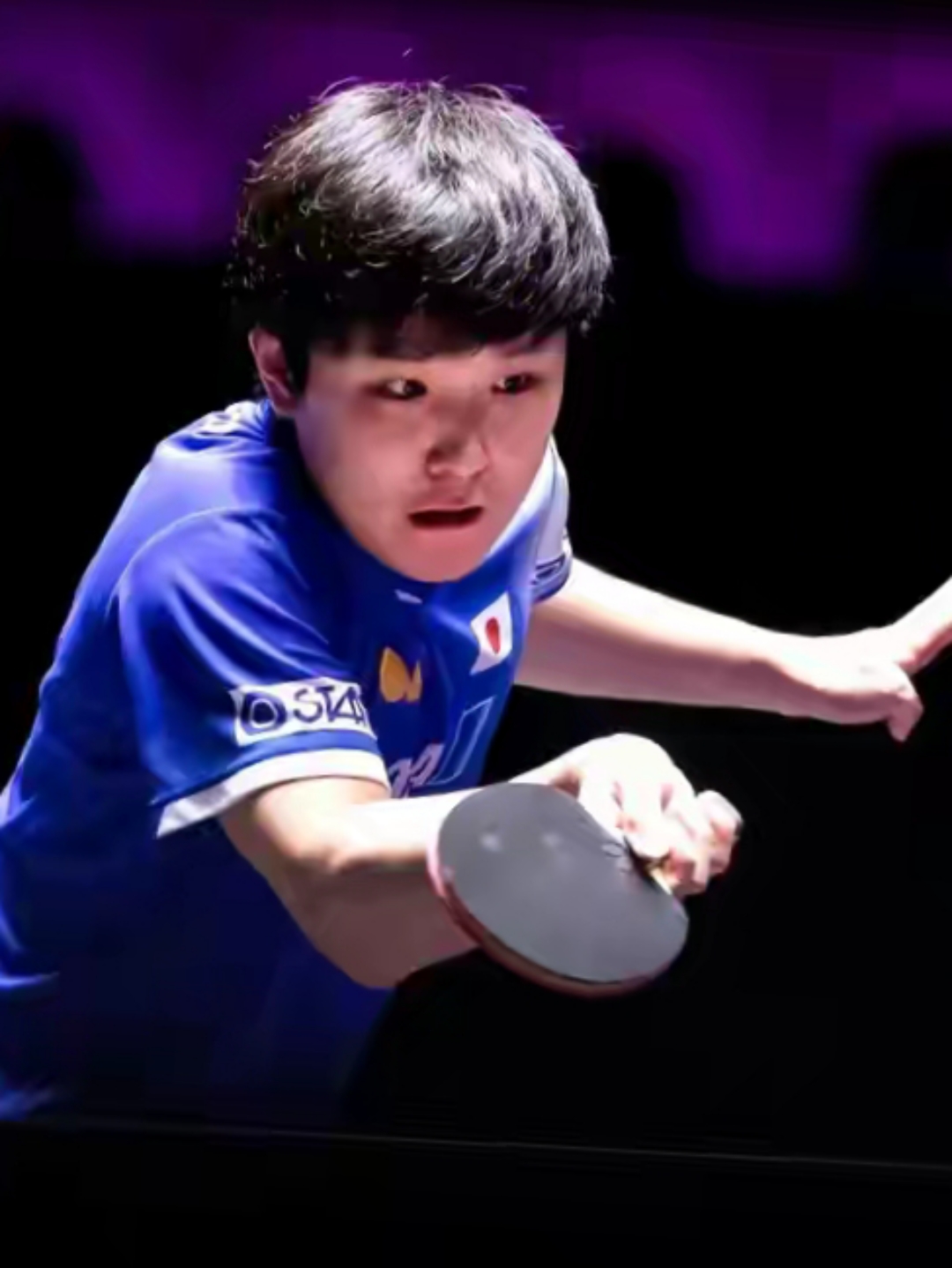 中国队横扫奥地利队,张本智和统治全场 中国队横扫奥地利队,张本智和统治全场